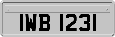 IWB1231