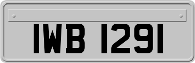 IWB1291