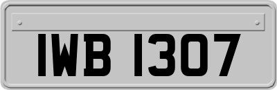 IWB1307
