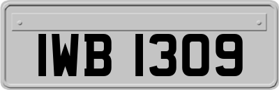IWB1309