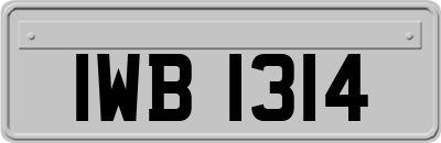 IWB1314