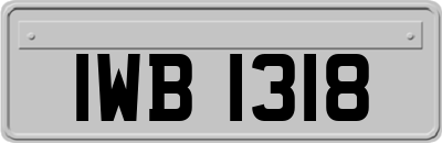 IWB1318