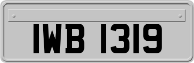 IWB1319