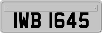 IWB1645