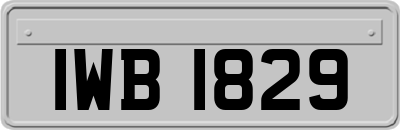 IWB1829