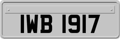 IWB1917
