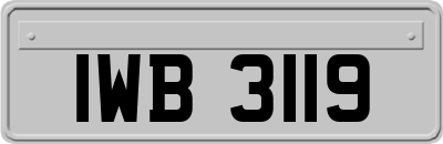 IWB3119