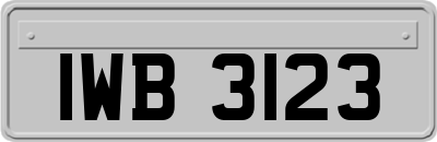 IWB3123