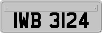IWB3124
