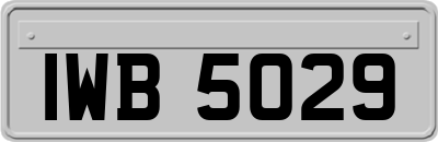 IWB5029