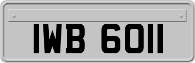 IWB6011
