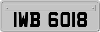 IWB6018