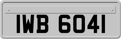 IWB6041