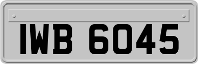 IWB6045