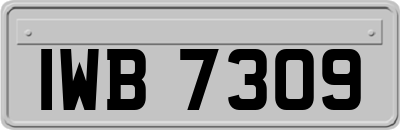 IWB7309