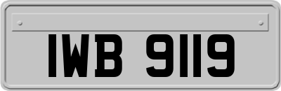 IWB9119