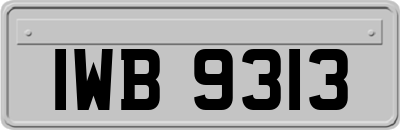 IWB9313