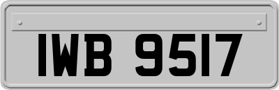 IWB9517