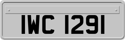 IWC1291