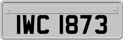 IWC1873