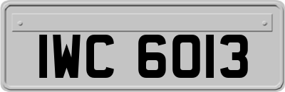 IWC6013