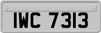 IWC7313