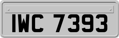 IWC7393