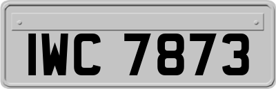 IWC7873