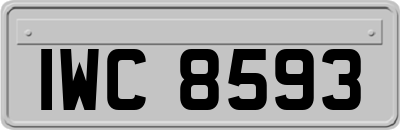 IWC8593