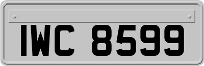 IWC8599