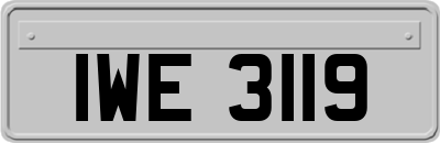 IWE3119