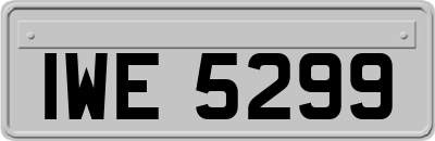 IWE5299