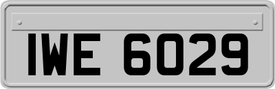 IWE6029