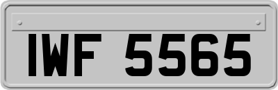 IWF5565