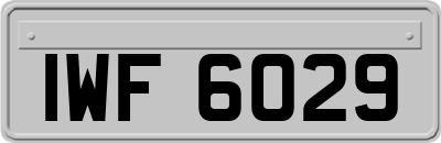 IWF6029