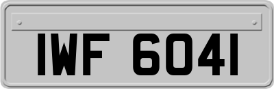 IWF6041