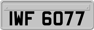 IWF6077