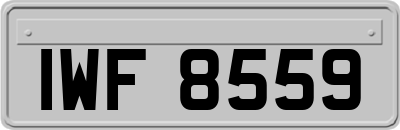 IWF8559