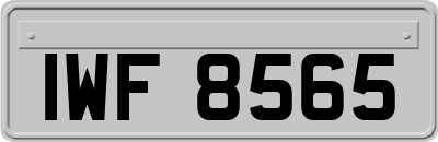 IWF8565