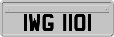 IWG1101