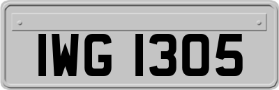 IWG1305