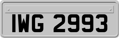 IWG2993