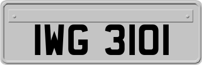 IWG3101