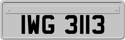 IWG3113