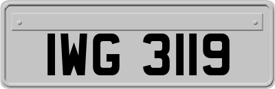 IWG3119