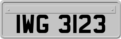 IWG3123