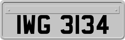 IWG3134
