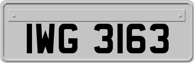 IWG3163