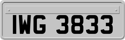 IWG3833