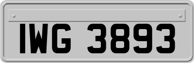 IWG3893